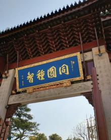 龙华寺15