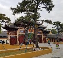 龙华寺29