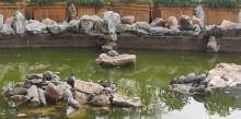 龙华寺20
