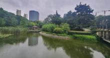 江浦公园2