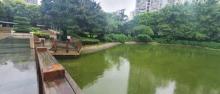 江浦公园3