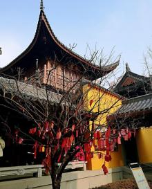 玉佛禅寺15