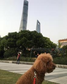 东昌路渡口5
