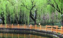 临沂公园3