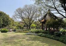 漕溪公园11
