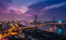 杨浦大桥6