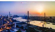 杨浦大桥8