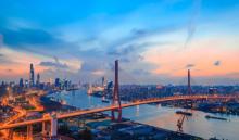 杨浦大桥9