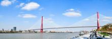杨浦大桥16