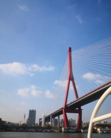 杨浦大桥17