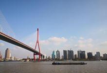 杨浦大桥19