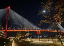 杨浦大桥20
