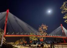 杨浦大桥21
