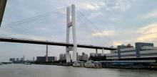 杨浦大桥25