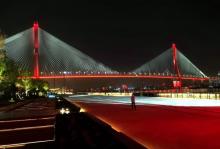 杨浦大桥29