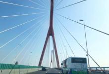 杨浦大桥31