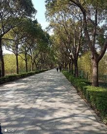 汽车博览公园7