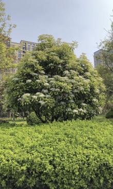 汽车博览公园11