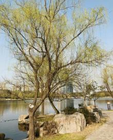 汽车博览公园26