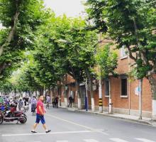山阴路15