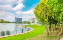 金罗店美兰湖景区4