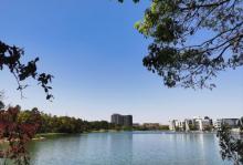 金罗店美兰湖景区11