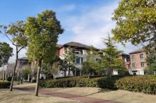 金罗店美兰湖景区23