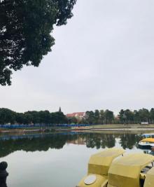 金罗店美兰湖景区25
