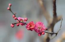 祥和公园5