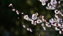 祥和公园6