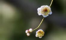 祥和公园7