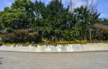 天山公园9