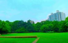 天山公园18