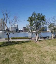上海船厂滨江绿地11