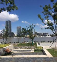 上海船厂滨江绿地26