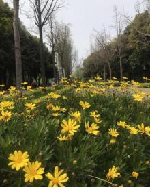 苏州河梦清园环保主题公园25