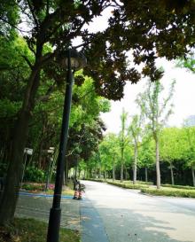 苏州河梦清园环保主题公园31