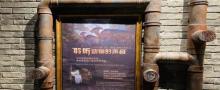 恐龙人俱乐部（上海白玉兰广场店）12