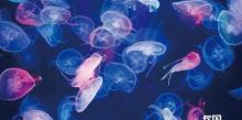上海长风海洋世界21