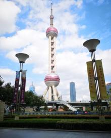 陆家嘴中心绿地19