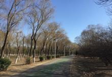 北京朝来森林公园7