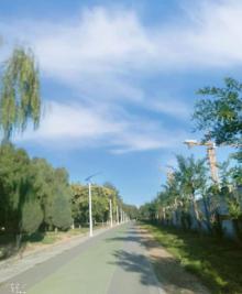 北京朝来森林公园11