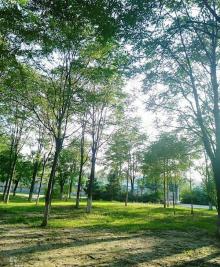 北京朝来森林公园12