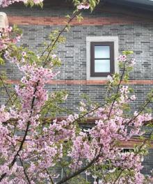 北京西路9