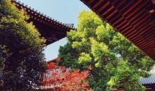 宝山寺2
