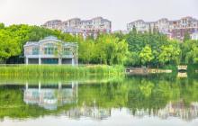金桥公园8