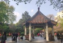 襄阳公园21