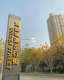 上海黄金城道步行街12
