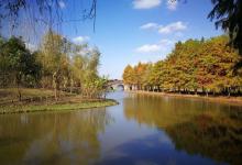 浦东金海湿地公园6
