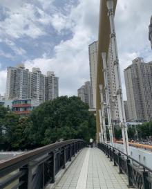 乌镇路桥9